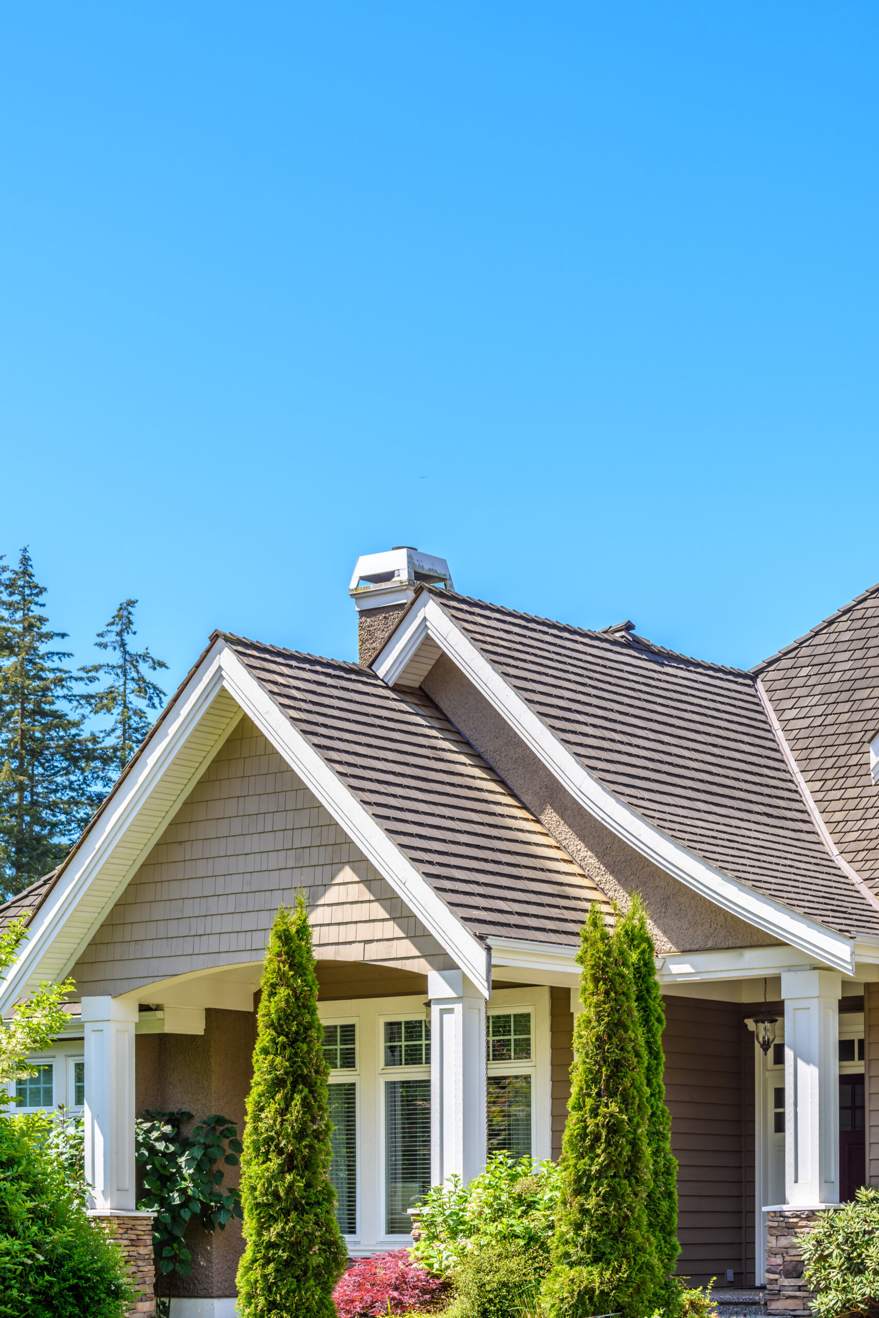 The roof of the house or apartment building.